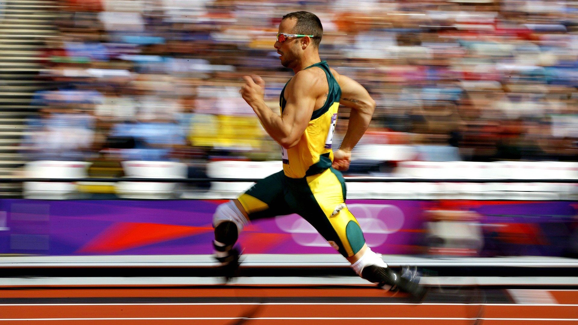 国家队心理辅导机制缺失，国内心理辅导中存在的问题