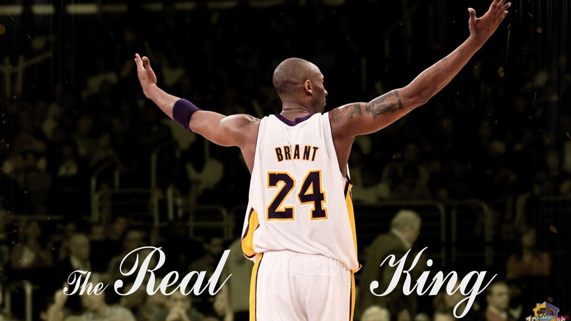 开云入口-《王者荣耀》荣耀之路总决赛，万人期待冠军归来！